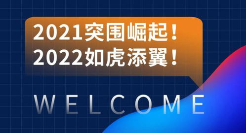 专业时代下的营销崛起生态——2021洛阳青峰网络互联网创新营销与互联网销售分析