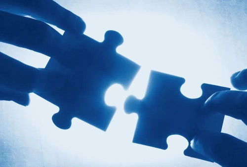 修嗒嗒斯卡图 科技赋能整装生态，驱动数字新零售，共享行业未来红利