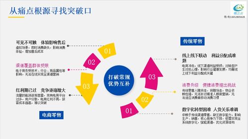 社交电商新零售 互联网时代中国零售业的转型与创新